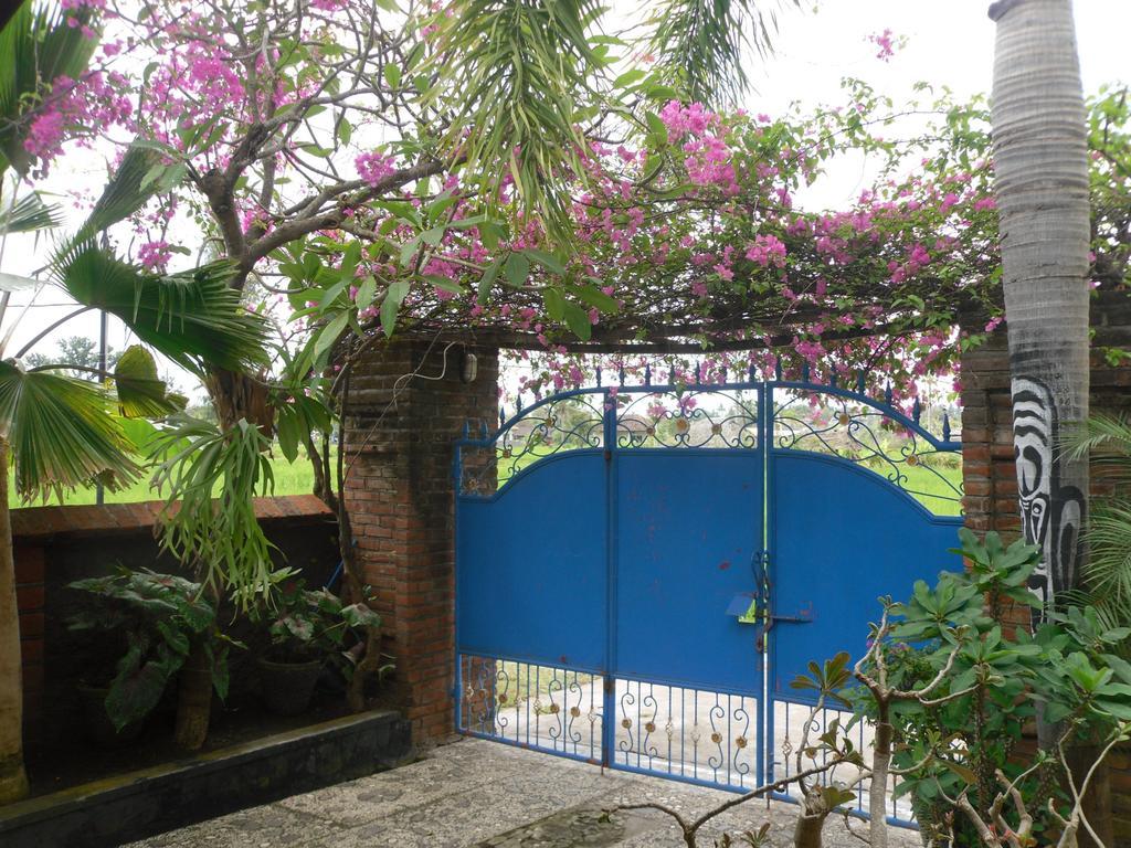 Villa Murni Lovina Oda fotoğraf